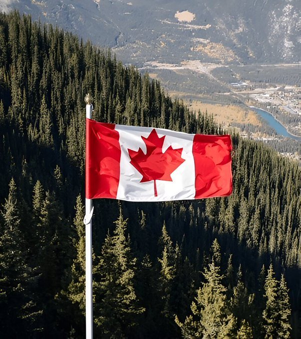 BitcoinTreasuries.NET tweet media