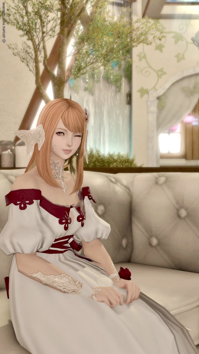 Titania🧸 tweet media