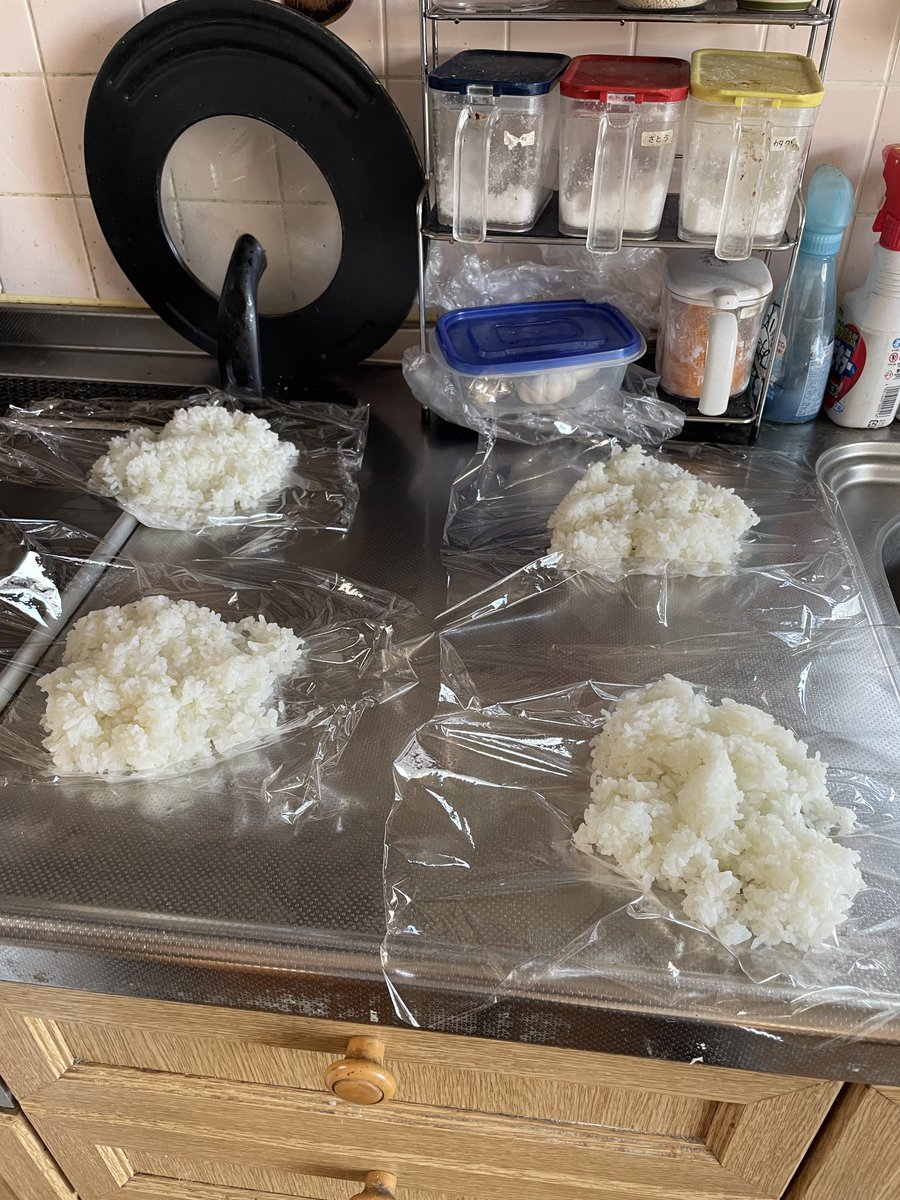 thin2(シンツー)@藤沢市で三毛猫と暮らせるしあわせ! tweet media