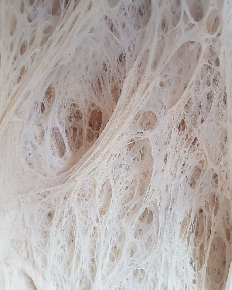 All day Astronomy tweet media