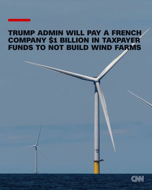 TheCanniGranny tweet media