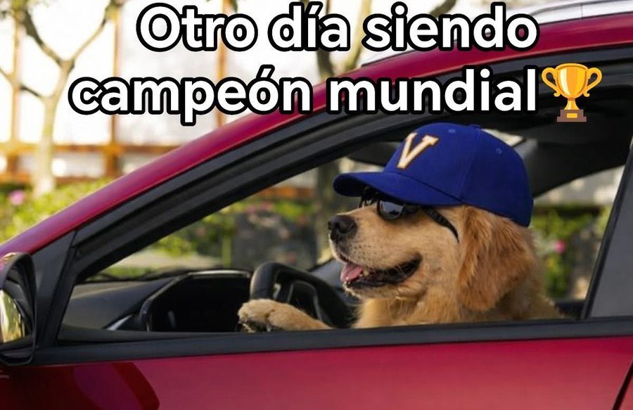 robecolby - Roberto Certain tweet media