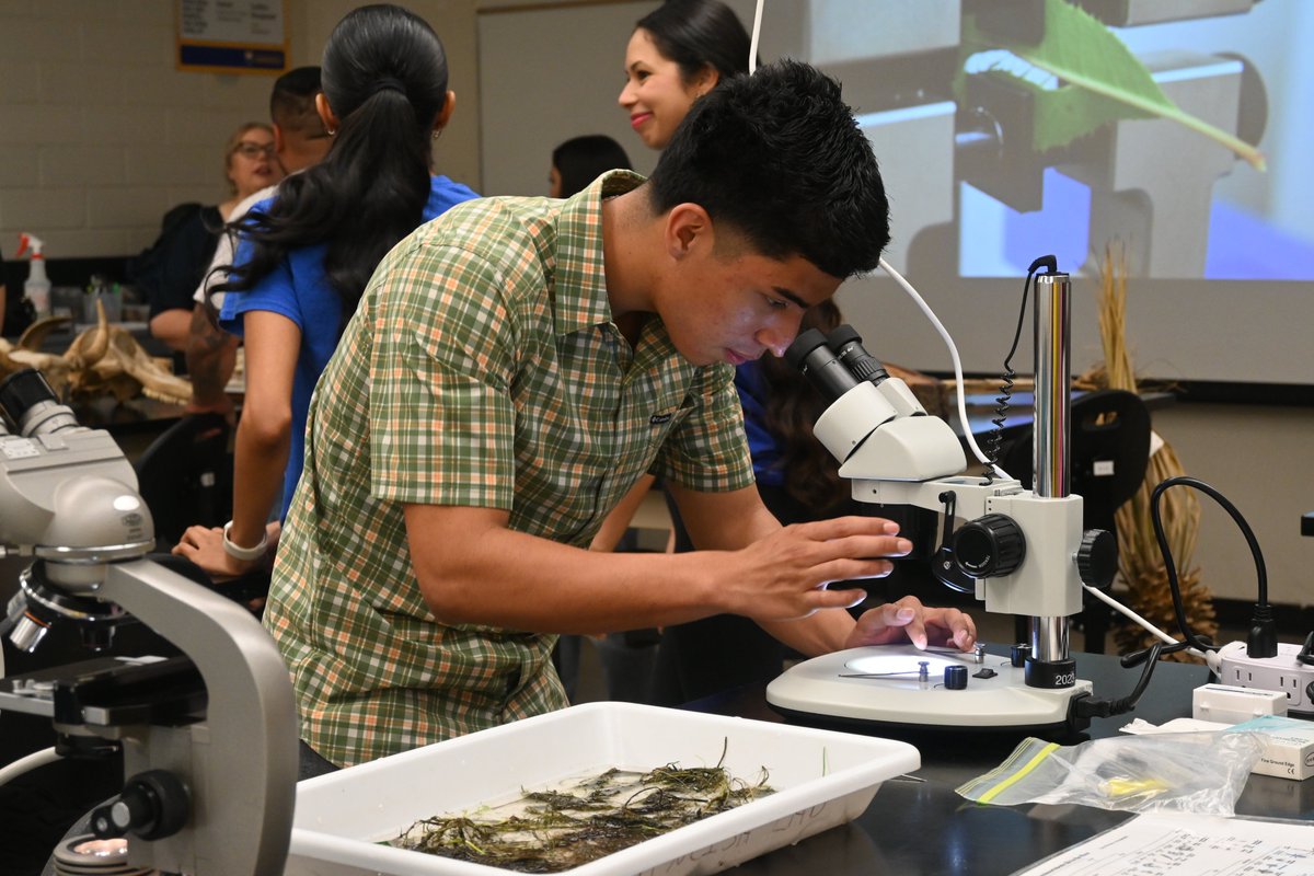 CSUB NSME tweet media