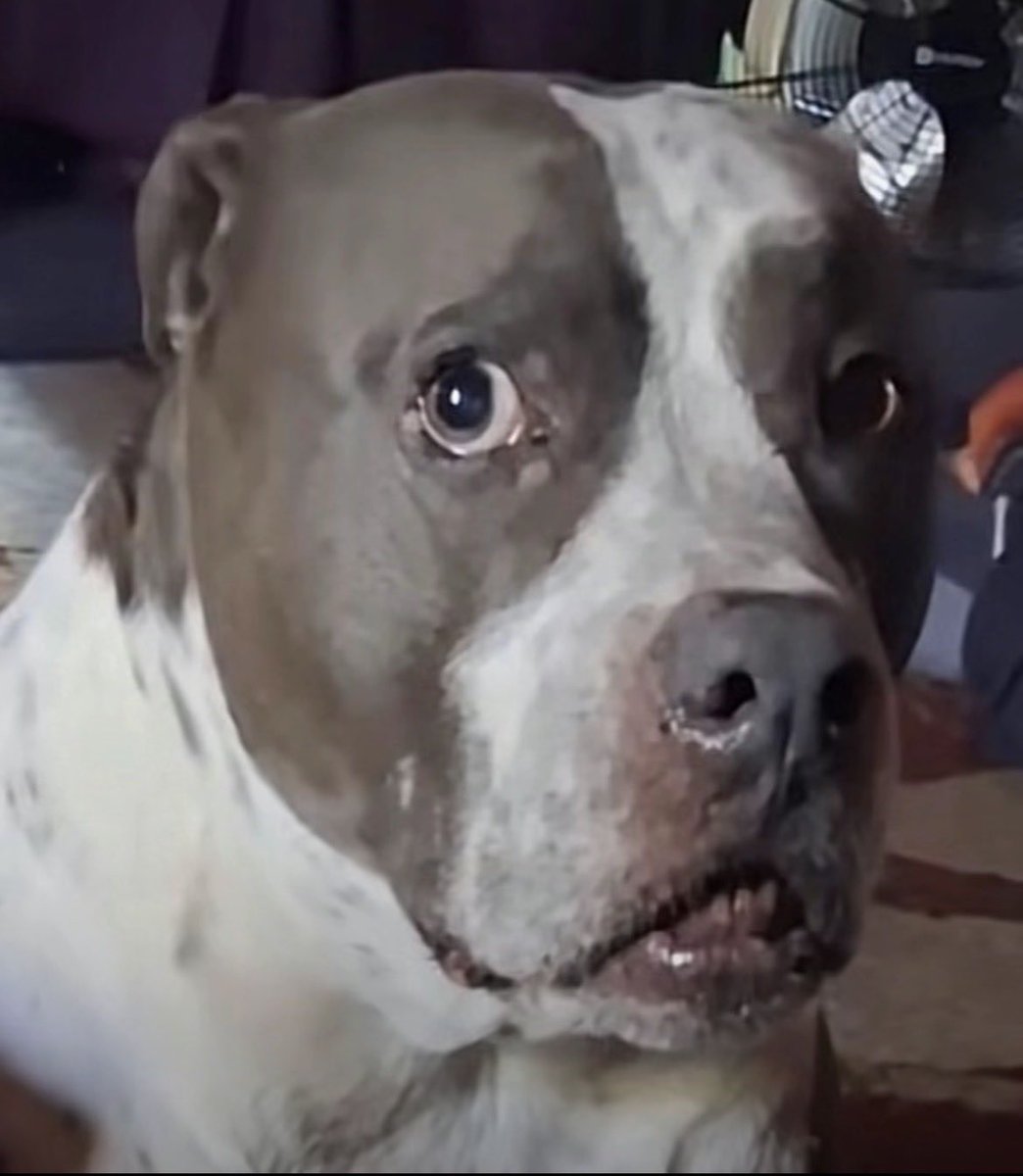 🇳🇴SnoAD🔞 tweet media