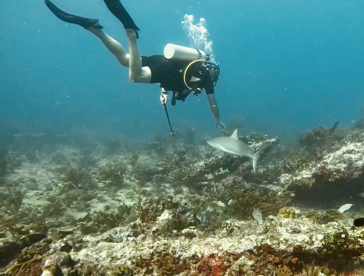 Muxac -Time 4 Peace 🌍🌎- tweet media