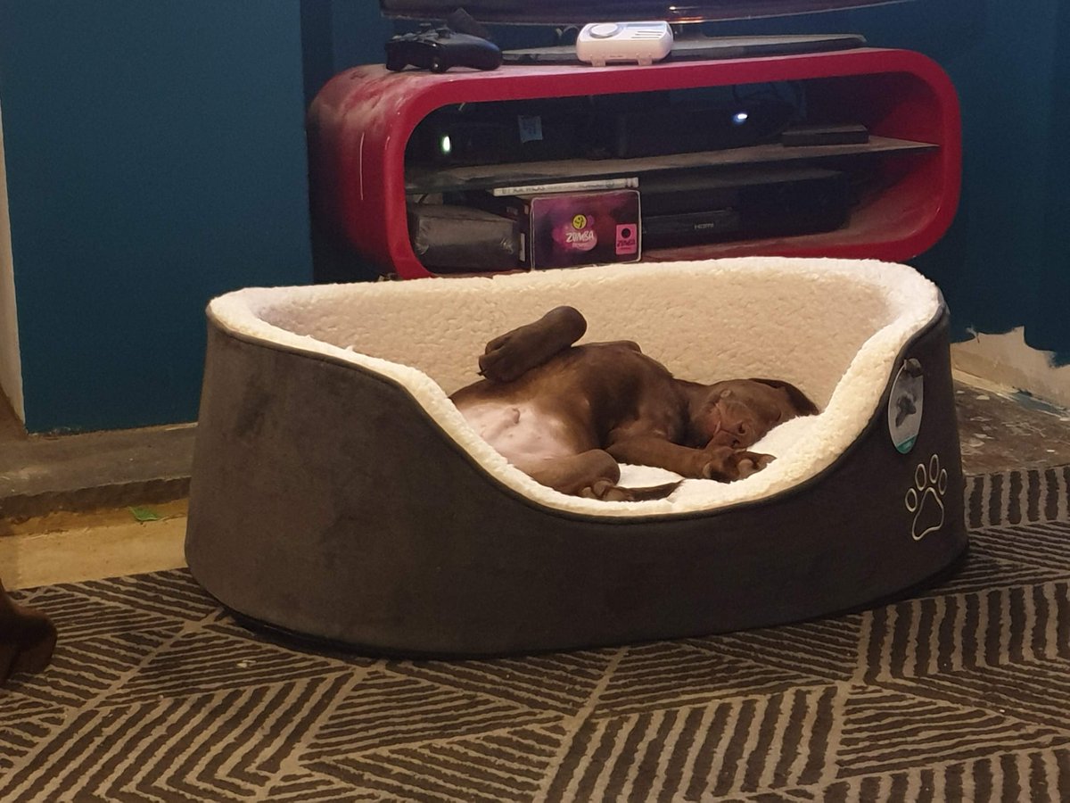 Dot Glover tweet media