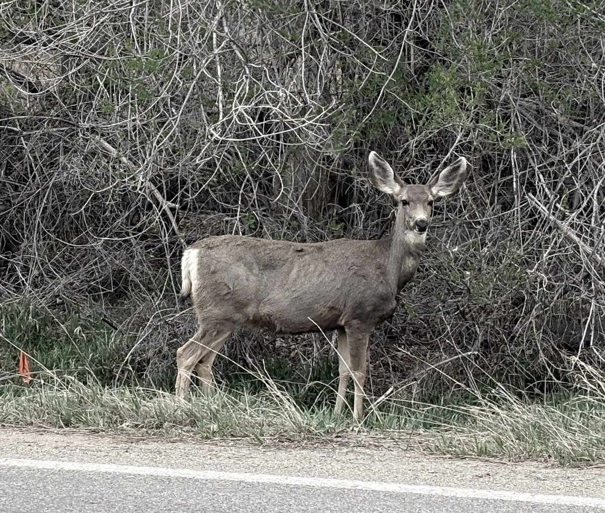 jeanne ⚢ tweet media