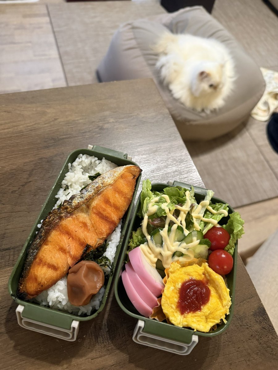 Macha_Zo tweet media