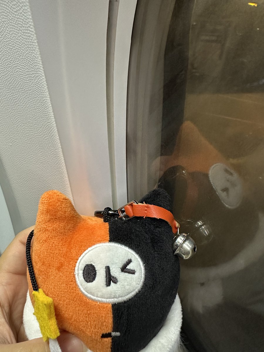 ᴬˡⁱⁿ ⋆.˚🦋༘⋆ tweet media