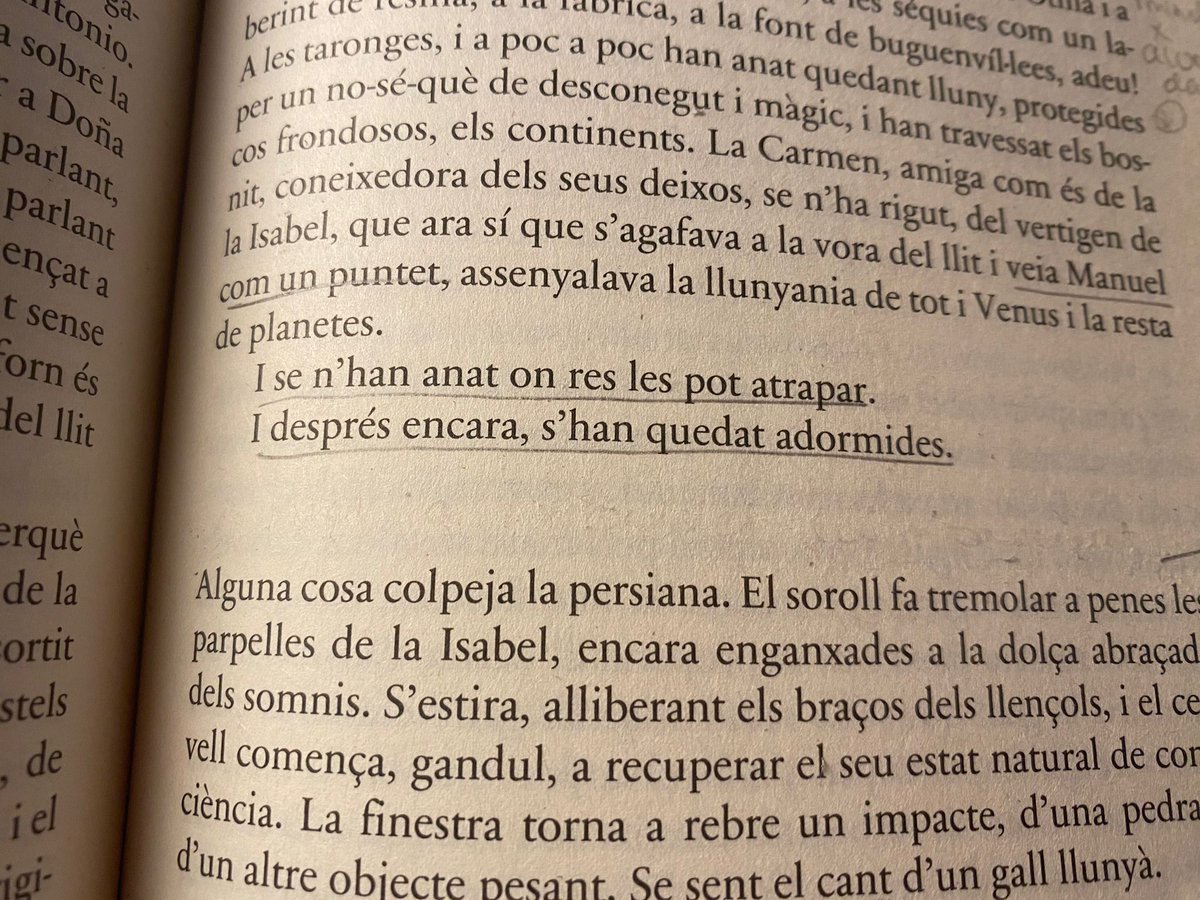 Laia Orquin tweet media