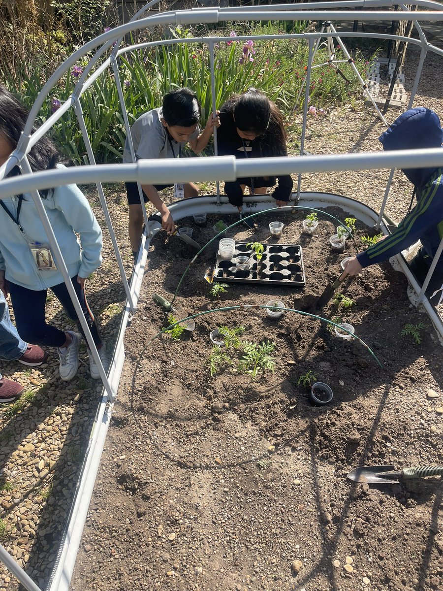 Kate Hebert tweet media