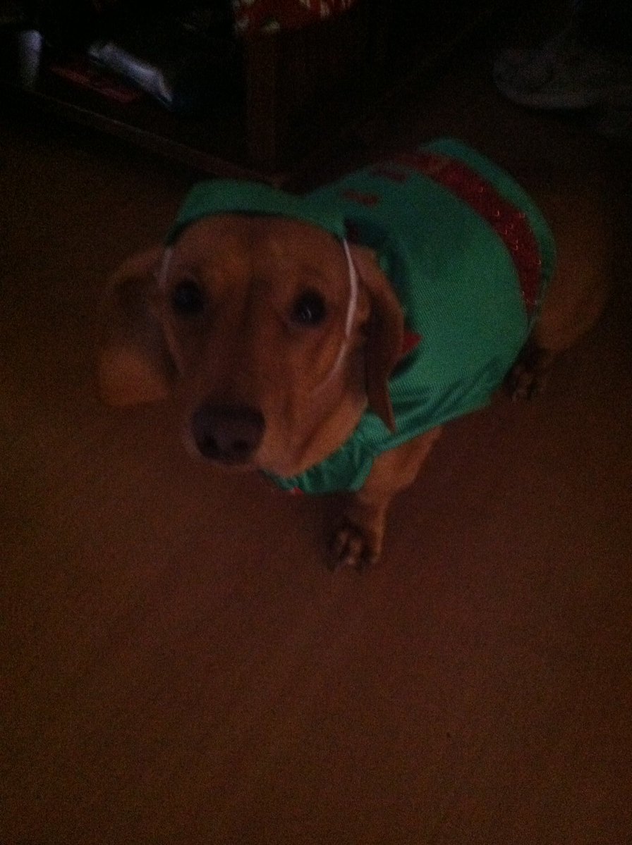 Kyle aka K-LO tweet media