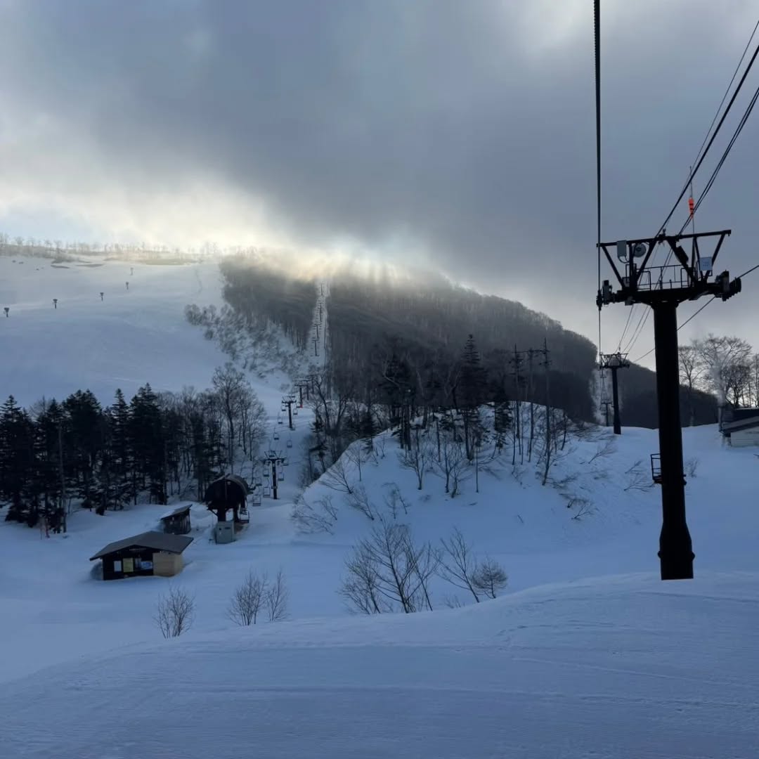 つがいけマウンテンリゾート tweet media