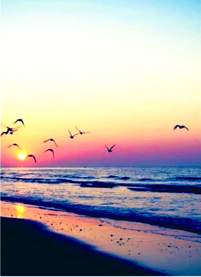 Ahmed Heshmat tweet media