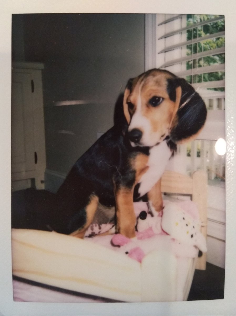 OneTen Mafia tweet media