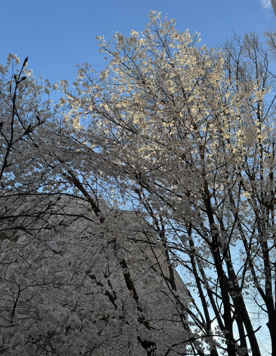 Patti Lynn Miller tweet media