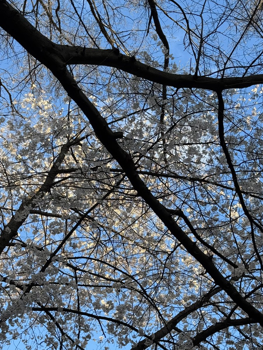 Patti Lynn Miller tweet media