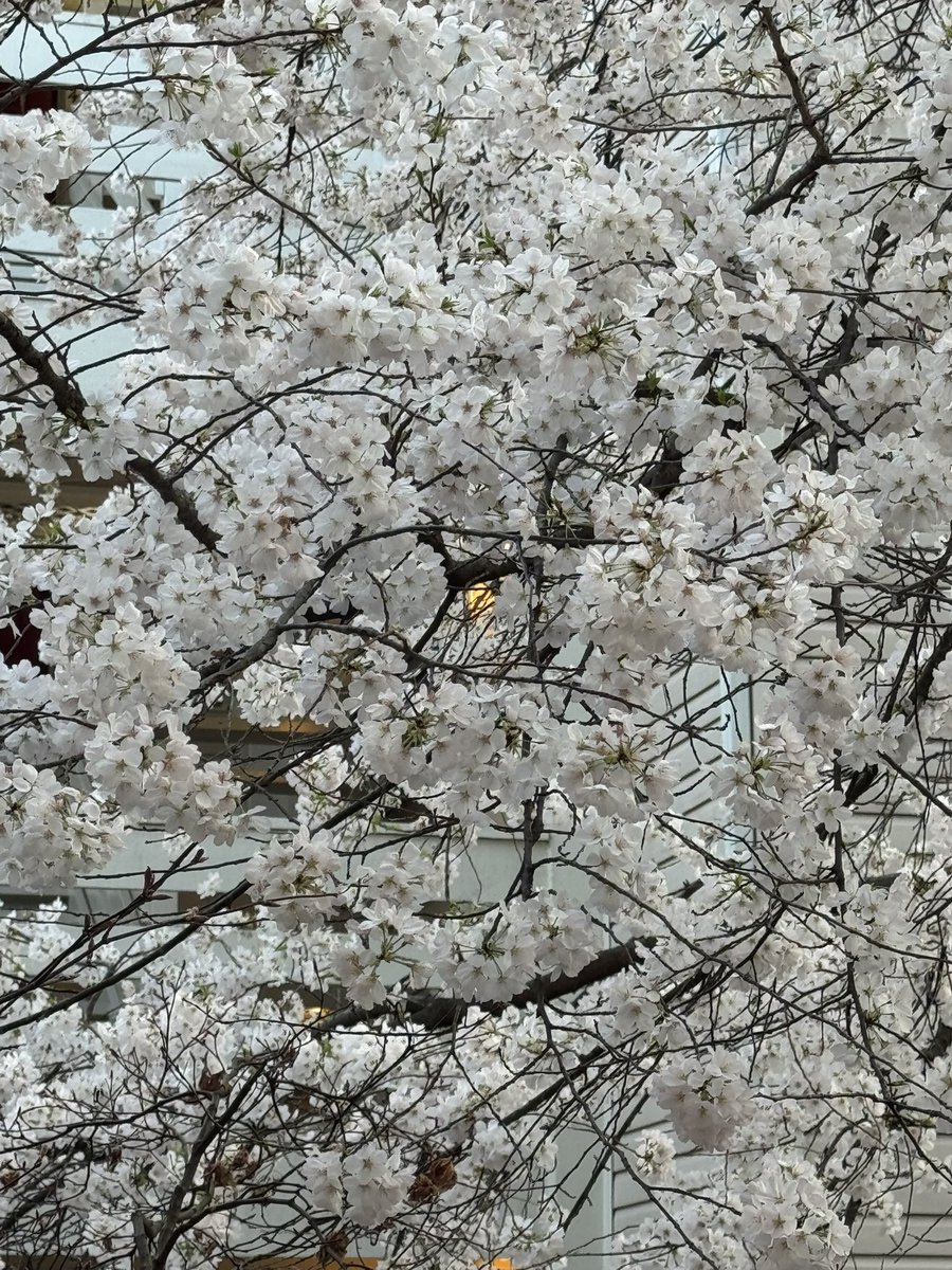 Patti Lynn Miller tweet media