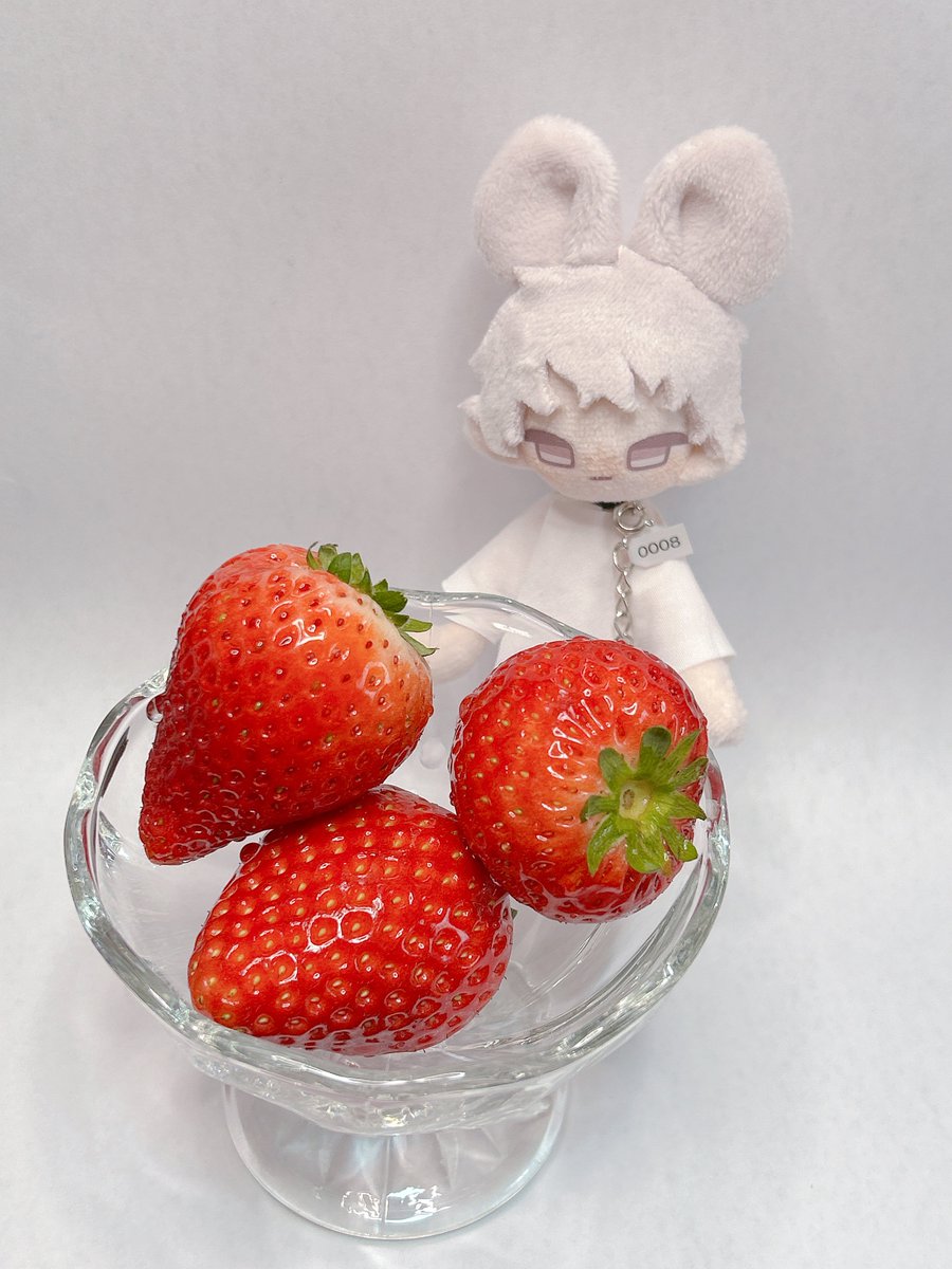 dollmmk's tweet photo. 好みを探るべくいちごを与えてみると大きさにびっくりした後、くんくんと匂いを嗅いでから齧り付いていた。
果物は好きなようだ。

 #Puzzrats https://t.co/RzjDu4zmg9