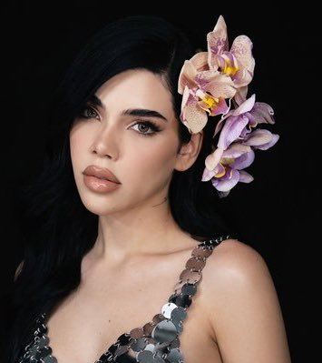 van ⋆ tweet media