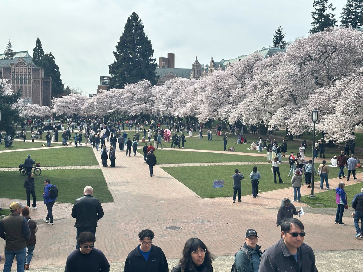 RedditCFB tweet media