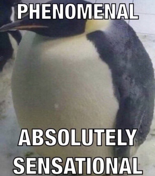 Nuggetbox tweet media