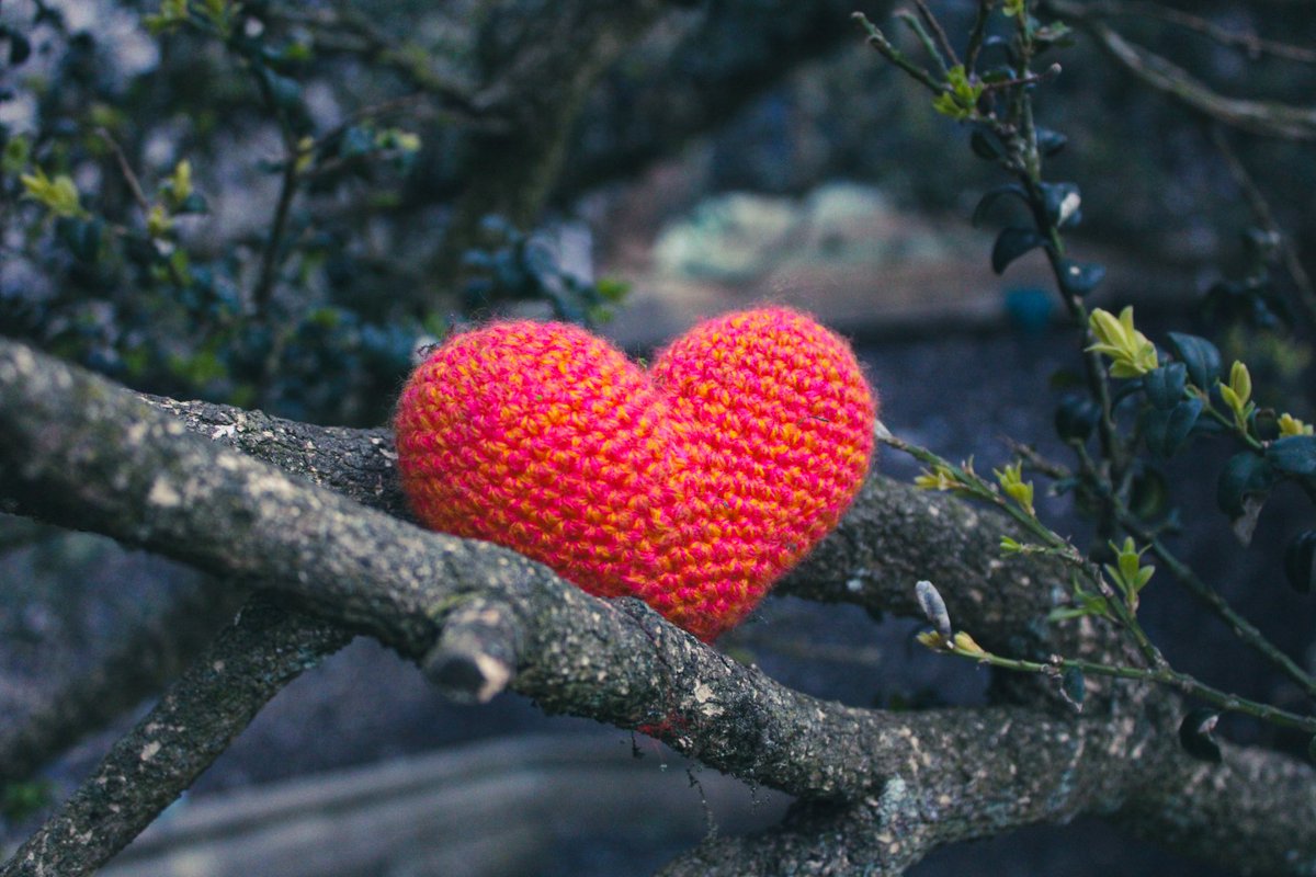 Danni Casey tweet media