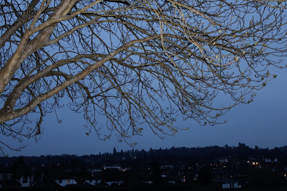 Danni Casey tweet media