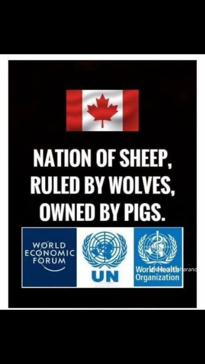 Ivano Defazio 🇨🇦🇮🇹🇺🇸 tweet media