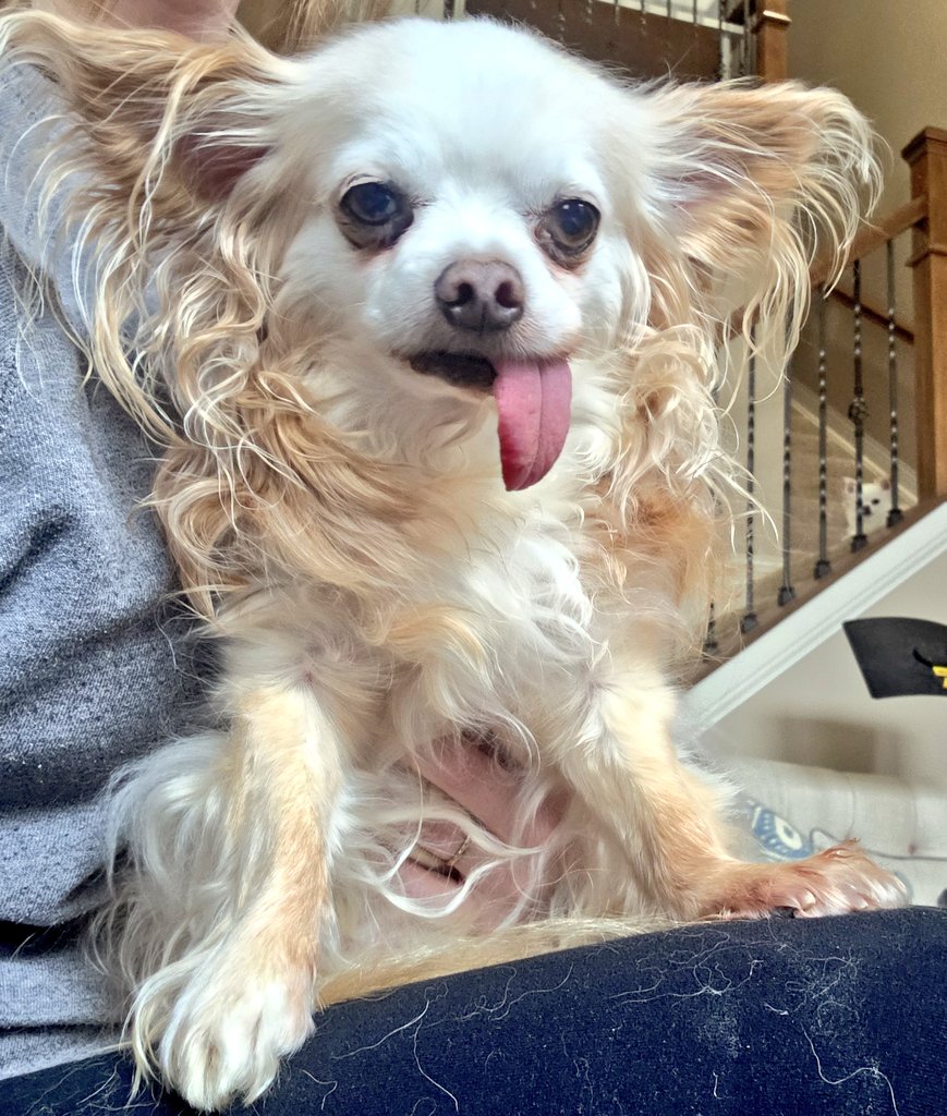 WhoBae (Jess) 🏈⚾⚽ tweet media