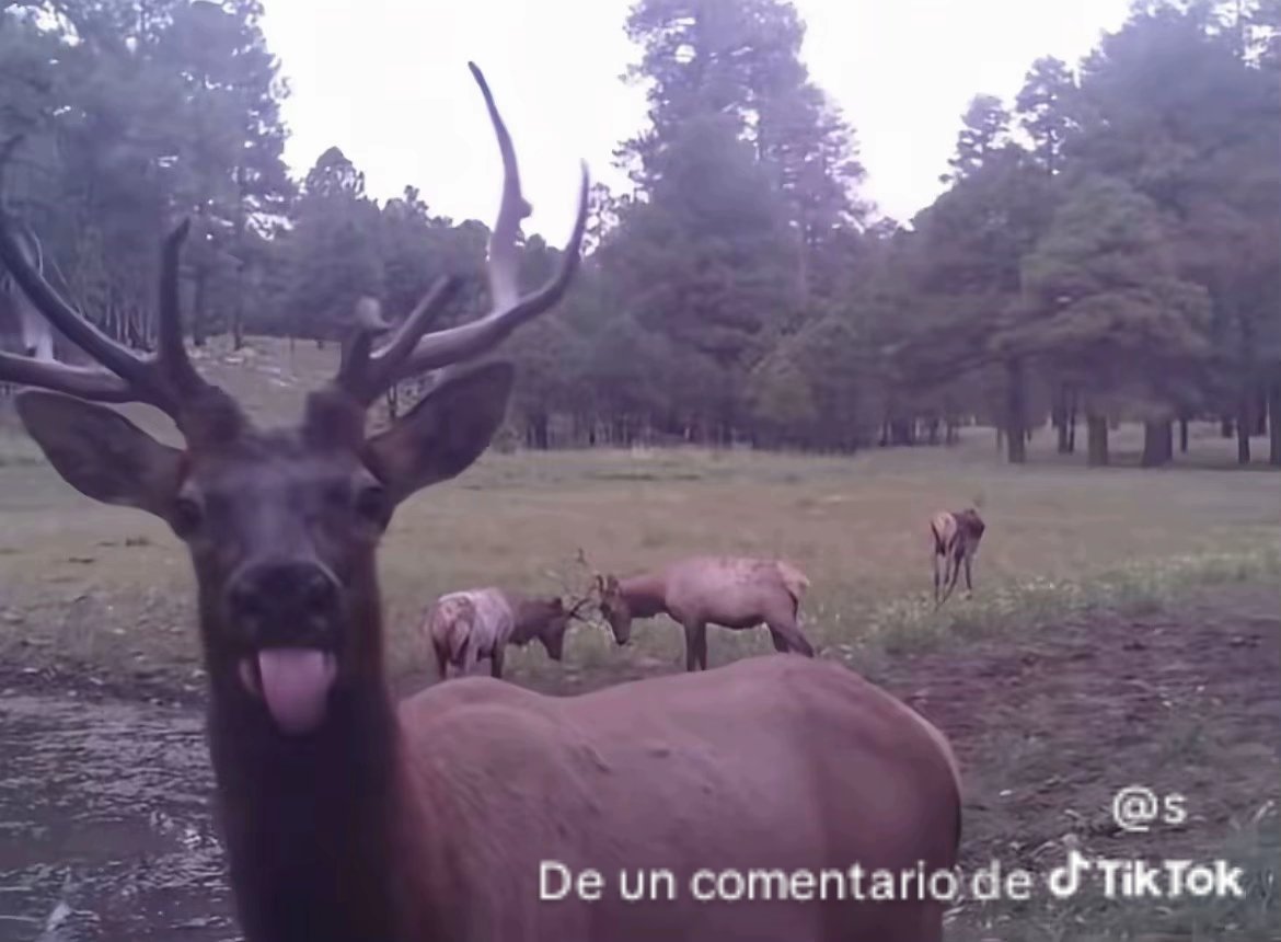 Oteiza mía jose #btsthepavetway tweet media