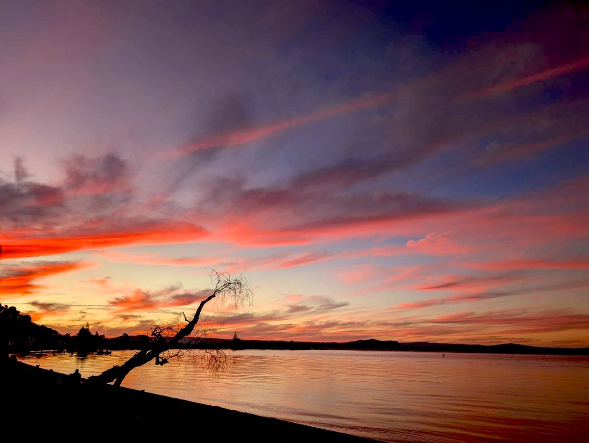 悟李羅☆影助 tweet media