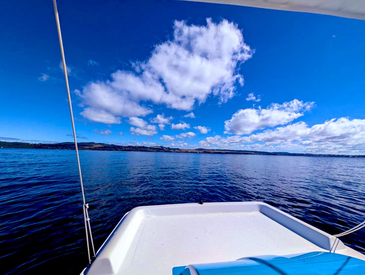 悟李羅☆影助 tweet media