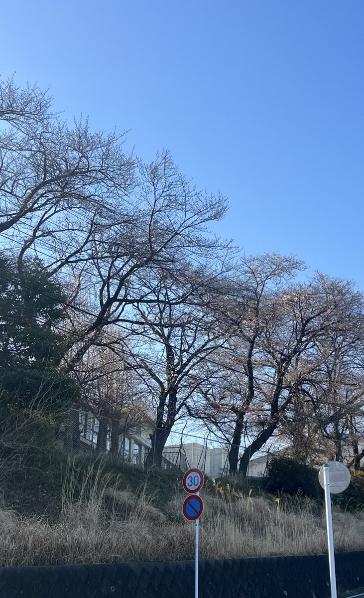 ShibaPark🐕 tweet media