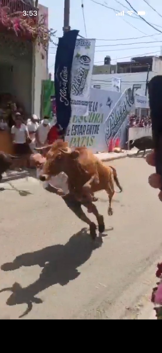 gbroussard tweet media