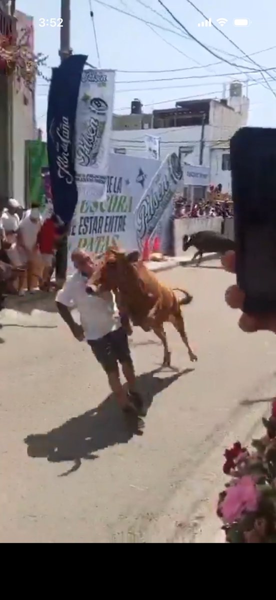 gbroussard tweet media