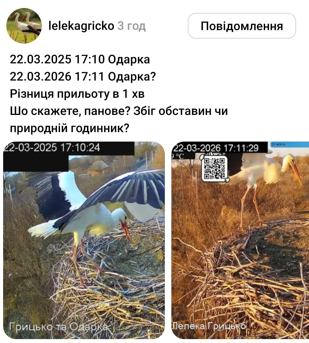 Ксеня tweet media