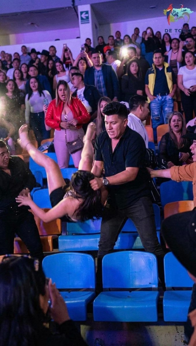 Vincent Van Hoe tweet media