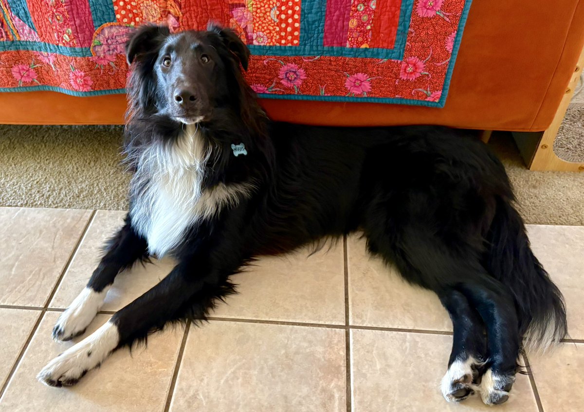 The Snoopervisor 2.0 /Moses (Wilma🌈) tweet media