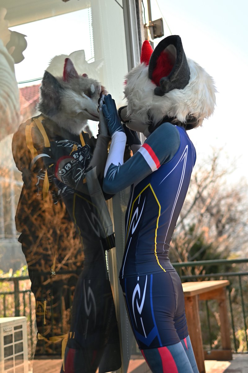 🦎ごしきひわ🦎™︎ tweet media