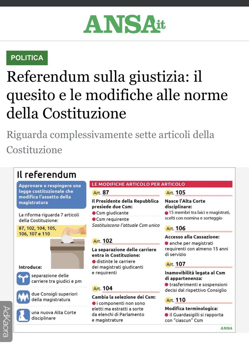 Kràchida 🦓🏴‍☠️ tweet media