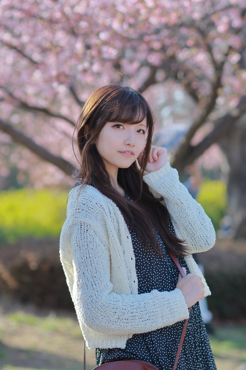 mam_1582's tweet photo. もうすぐ桜、見頃みたいですね🌸

photo by @cosiro8736 https://t.co/6wgbll5n2M