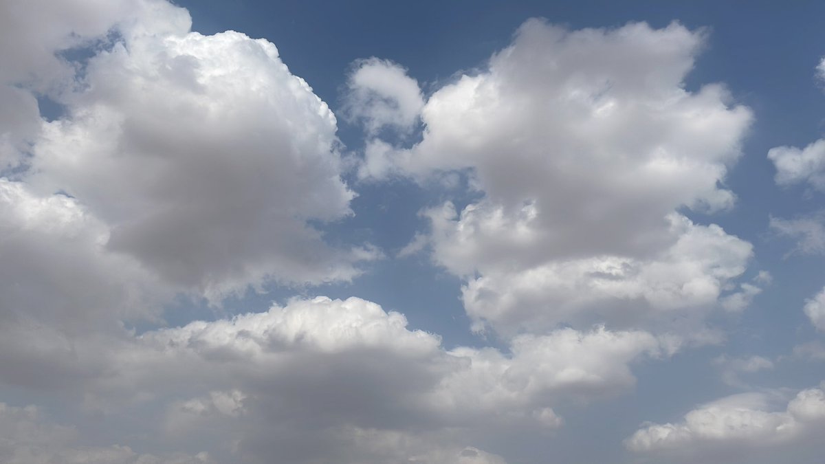 صِبا tweet media