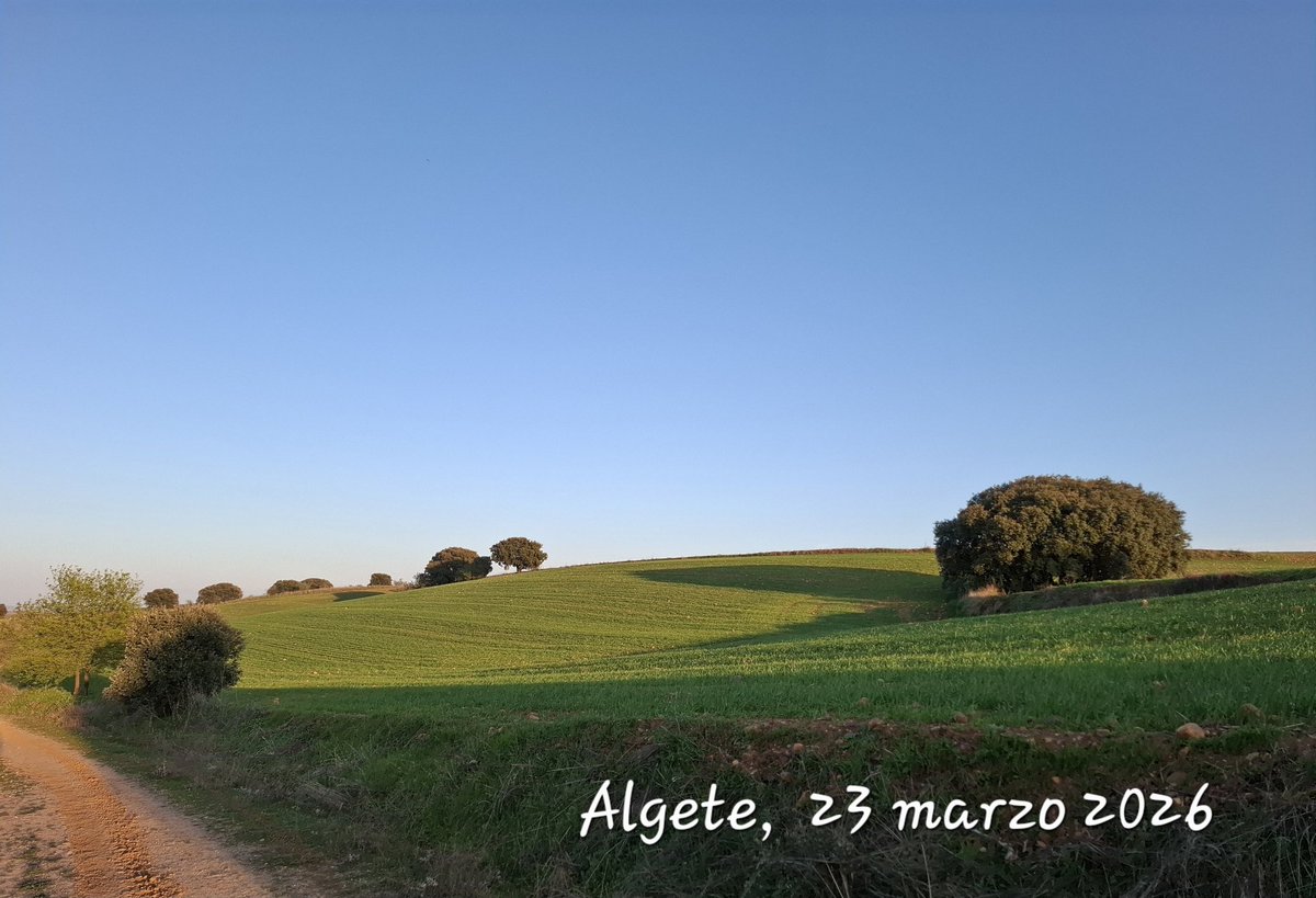 MAF Algete tweet media