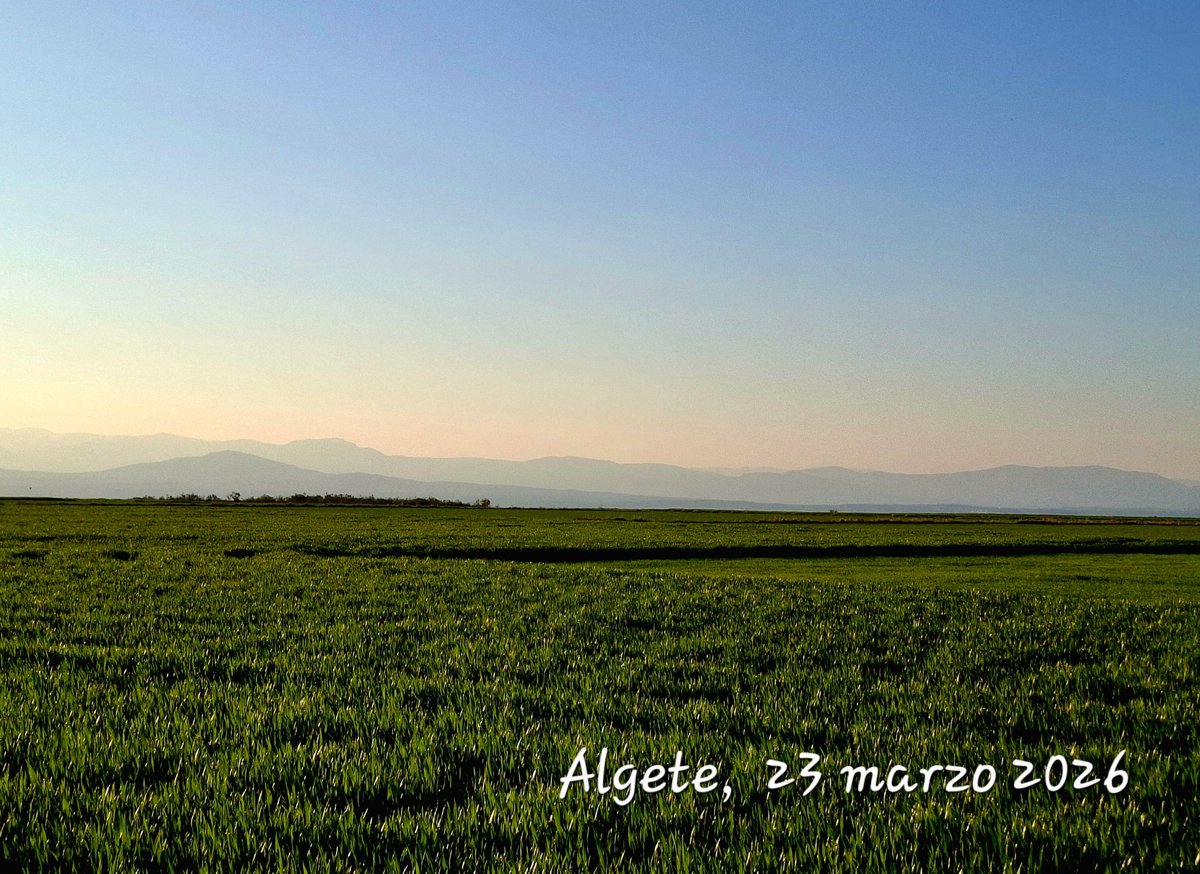 MAF Algete tweet media