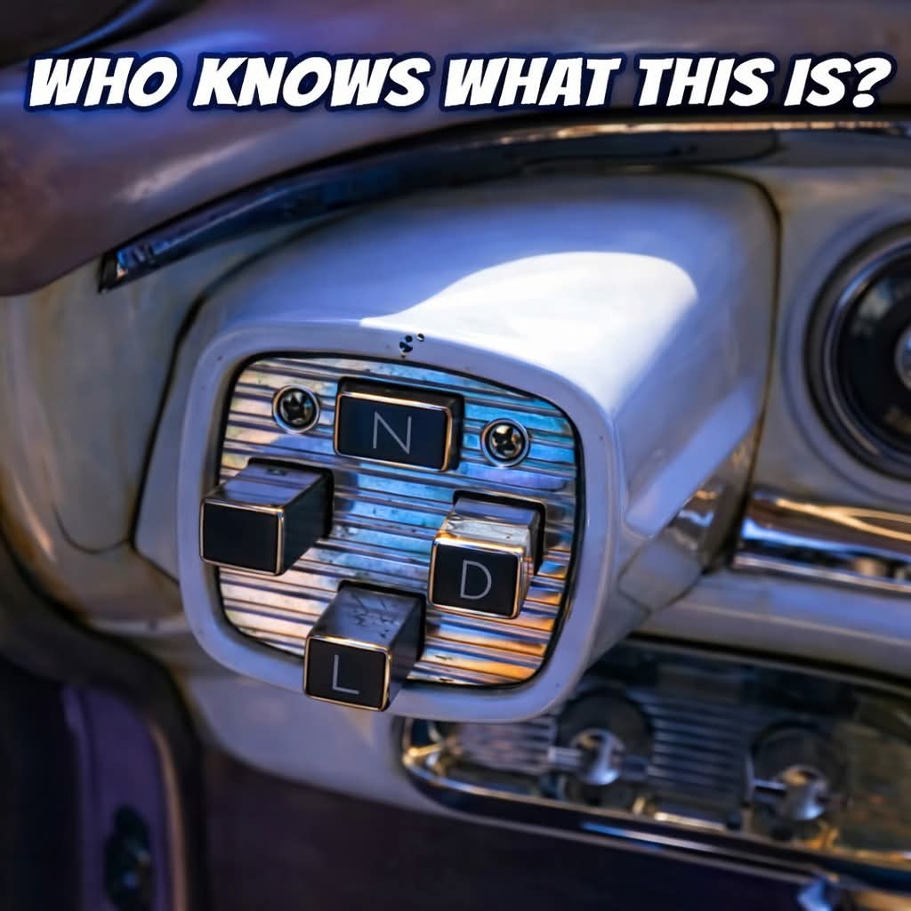 Elizabeth❣️ tweet media