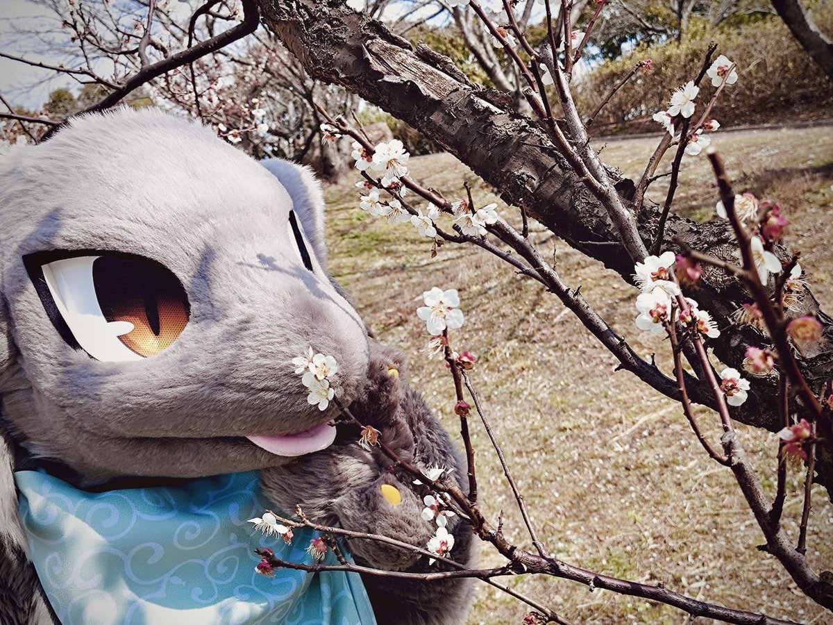 バイオ前線 tweet media