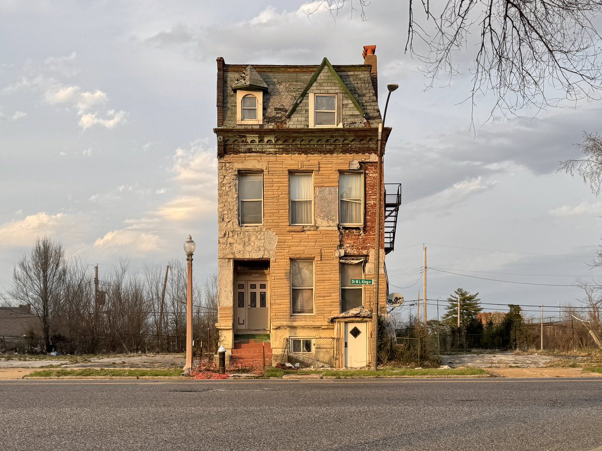 Chicken Joe 🐔 tweet media