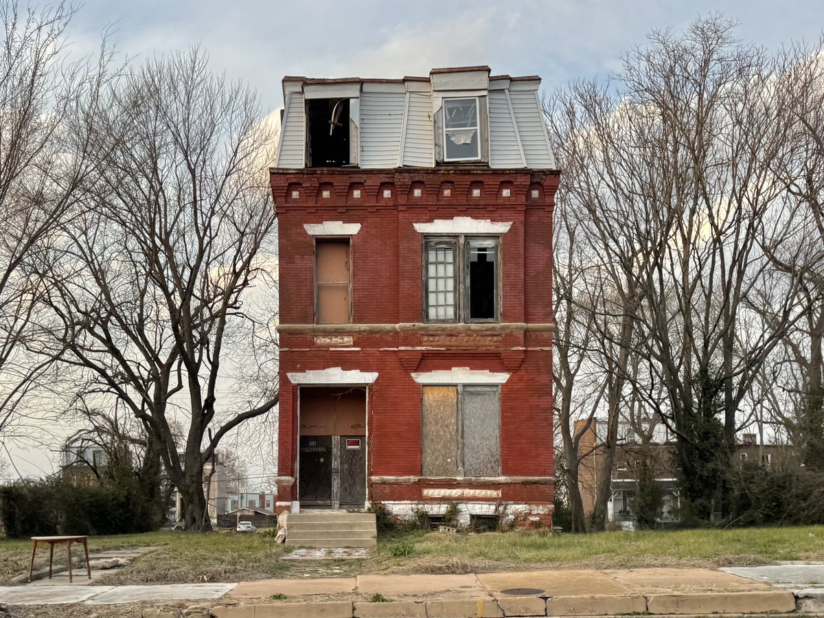 Chicken Joe 🐔 tweet media