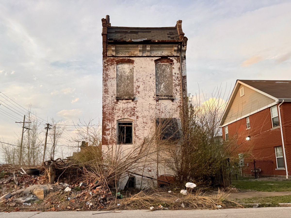 Chicken Joe 🐔 tweet media